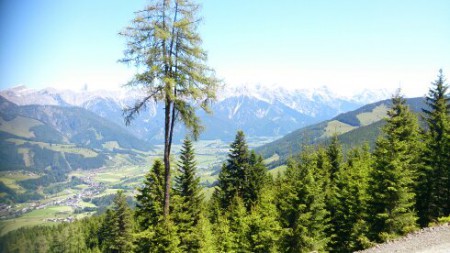 Vogelsangweg Richtung Biberg